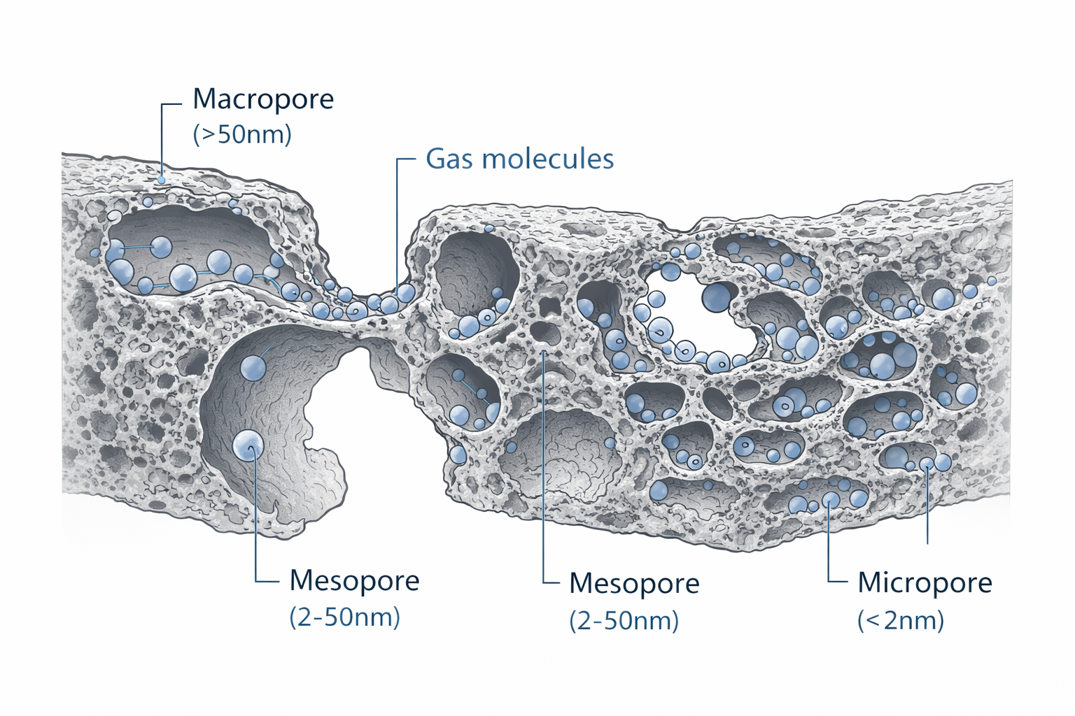Activated carbon pore structure – macropores, mesopores and micropores Activated carbon pore structure diagram showing macropores, mesopores and micropores – the hierarchical pore system that creates the enormous internal surface area for gas adsorption